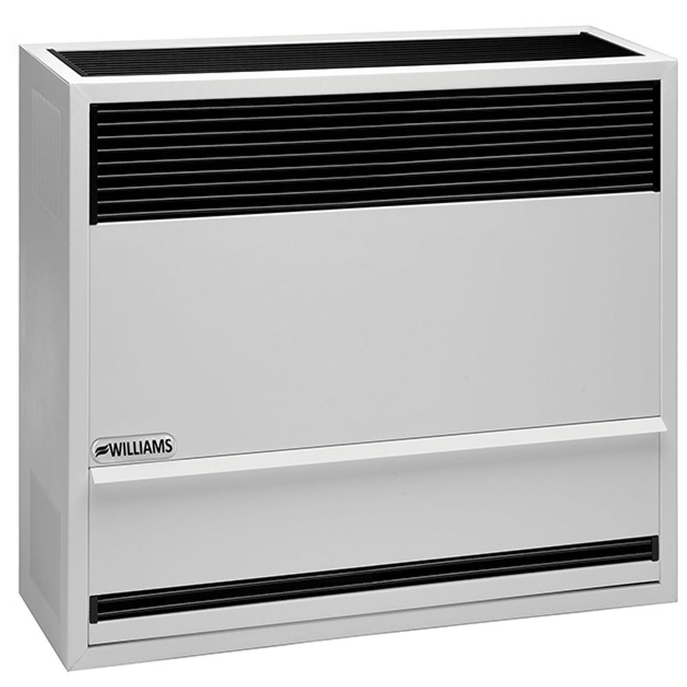 Williams Model 2203821-22000btu Gas Stove